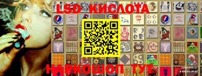 дмт Новозыбков