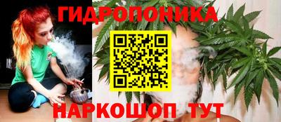 дмт Новозыбков