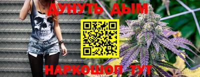 дмт Новодвинск