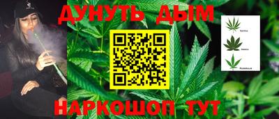 дмт Новозыбков
