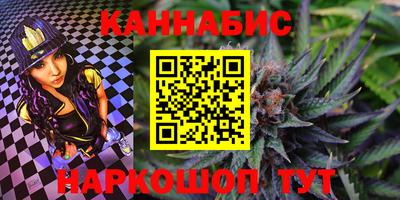 дмт Новозыбков