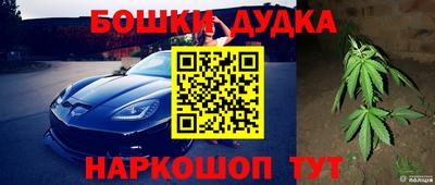 дмт Новодвинск