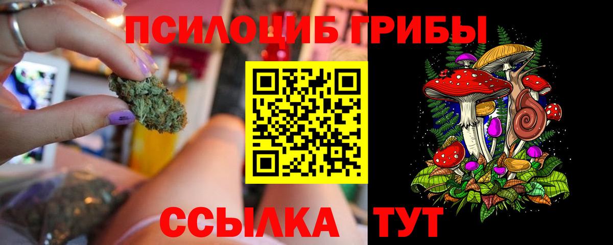Рузаевка  Псилоцибиновые грибы Cubensis  Вход с VPN 